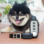 GARMIN<sup>®</sup> Delta<sup>®</sup> XC Remote Dog Training System